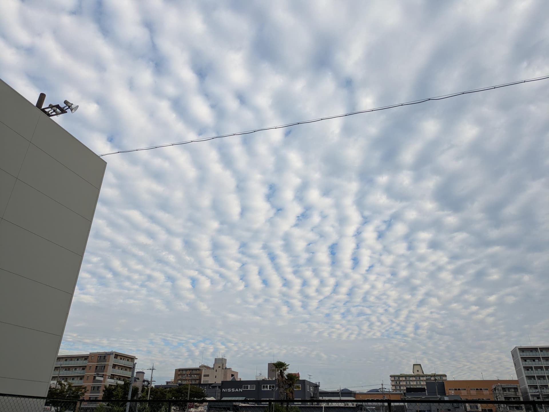 雲　鈴木　2026.09.18